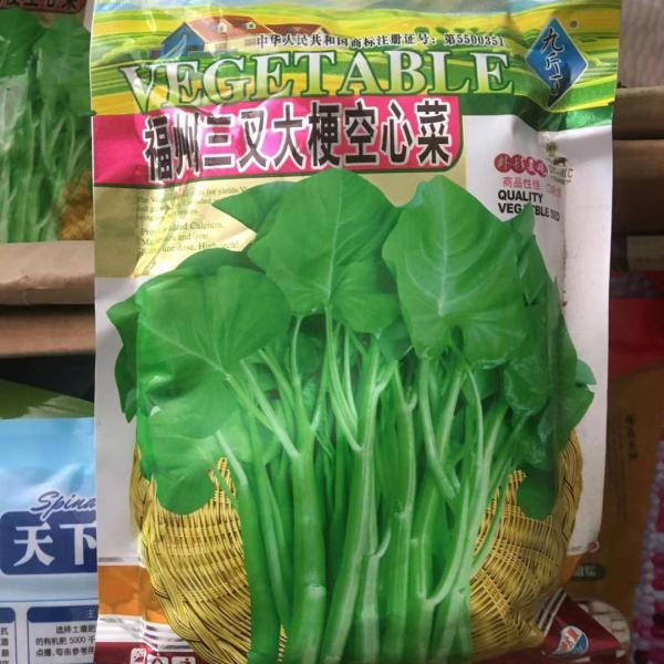 空心菜种子，台湾竹叶空心菜种子，大叶空心菜