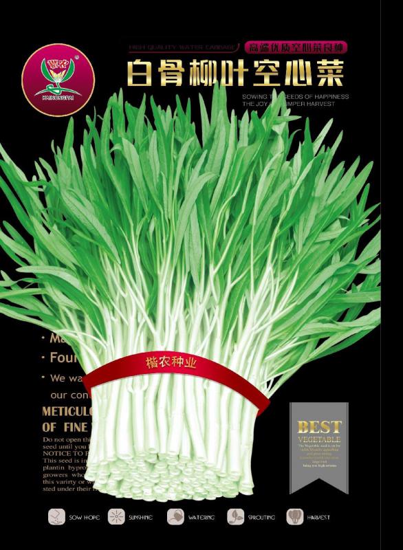 楷农白骨柳叶空心菜种子 产量高 全国各地均可种 450克