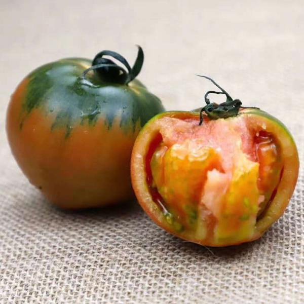 盘锦碱地西红柿，不打农药，口感好，价格优，欢迎老板选购