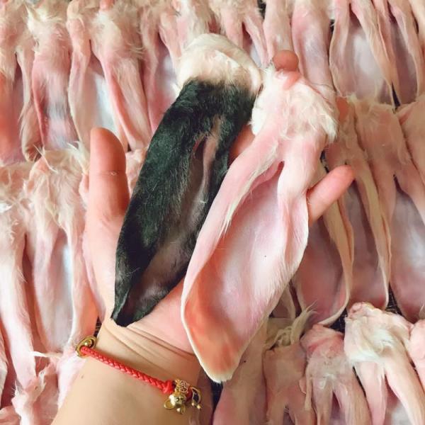 兔头，兔耳，兔腿，兔排，兔肉全国各地均可发货