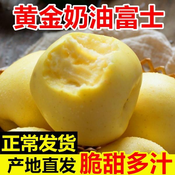 【精品】沂蒙山奶油苹果 大量供应 新鲜采摘  水分足
