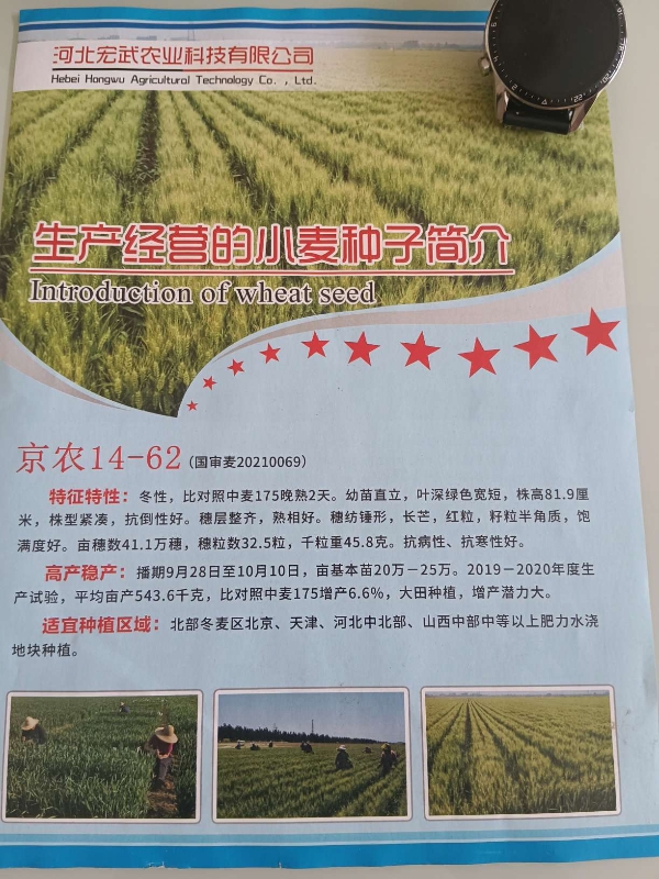 河北宏武农业科技有限公司冬小麦厂家批发