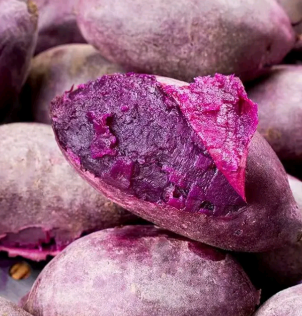紫薯！山东紫罗兰紫薯大量现货供应