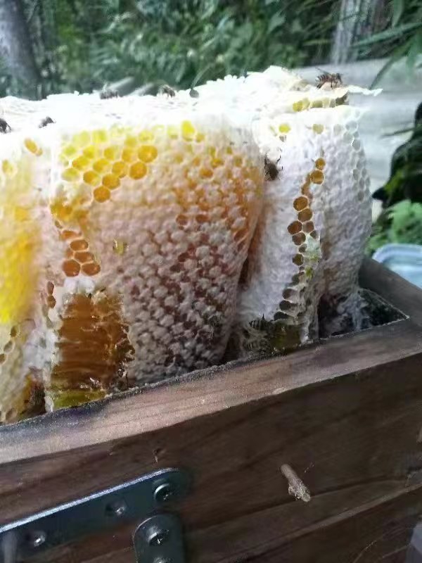 陕南土蜂蜜