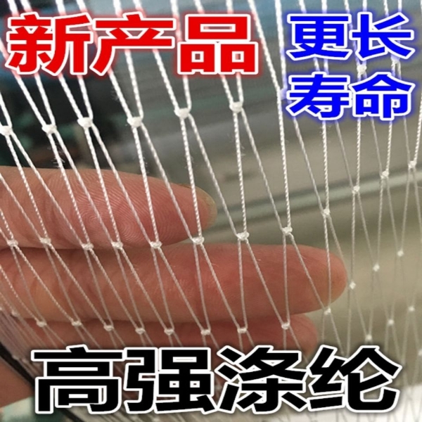 生产销售防鸟网