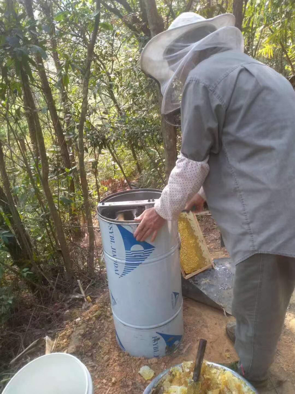 土蜂蜜…百花蜜荔枝蜜冬蜜，欢迎各位来采购