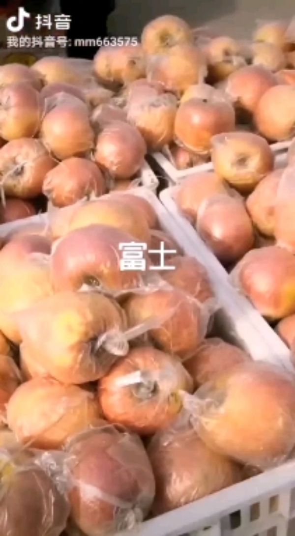 精品红富士苹果大量上市质量好，价格低，含糖量高