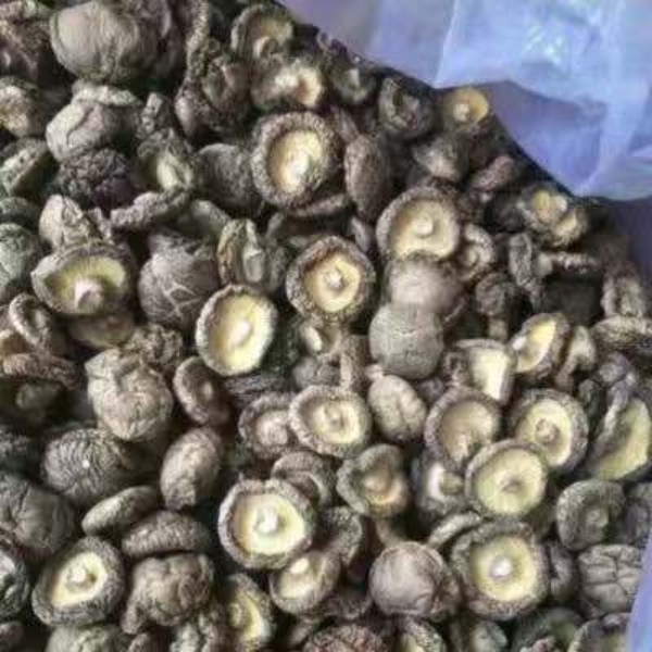 生产大量干香菇，各种菇型不同价位