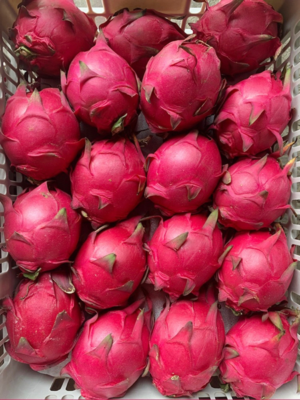 红心❤火龙果大量上市，品种齐全，质量保证，