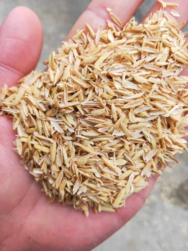 常年大量出售无尘稻壳，大小碎米