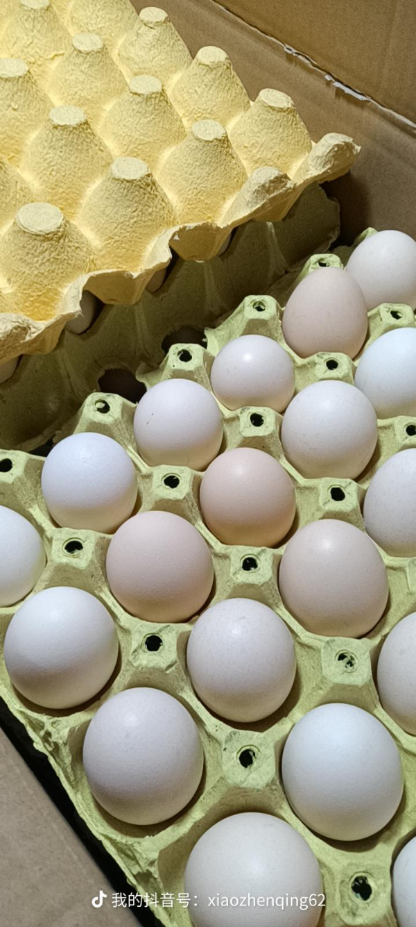 粉蛋、土鸡蛋