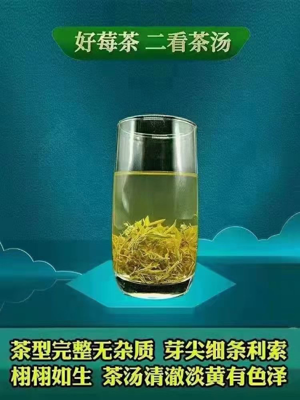 张家界莓茶