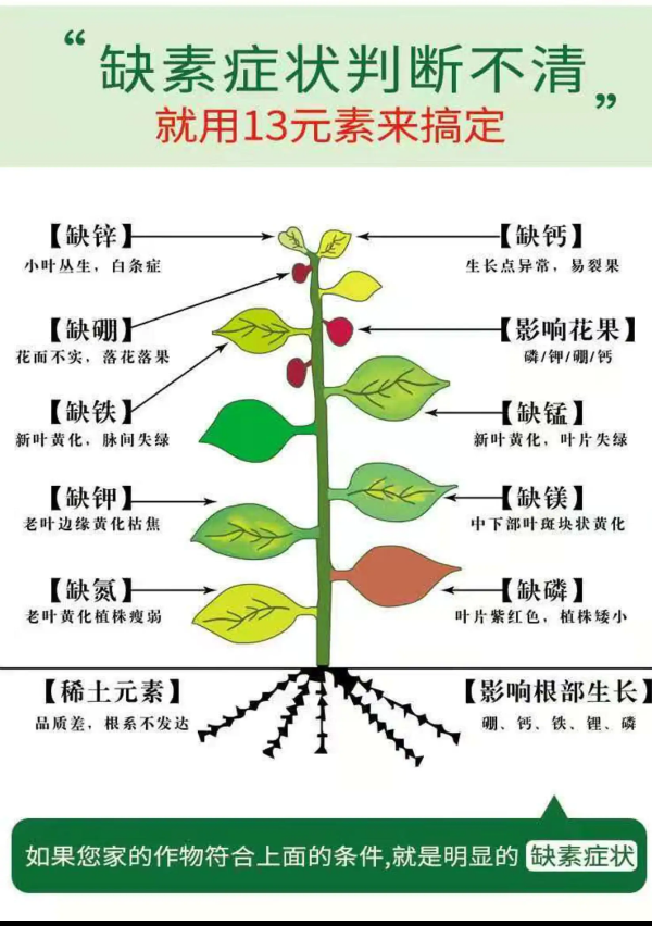 十三元素:13种元素一次性补齐