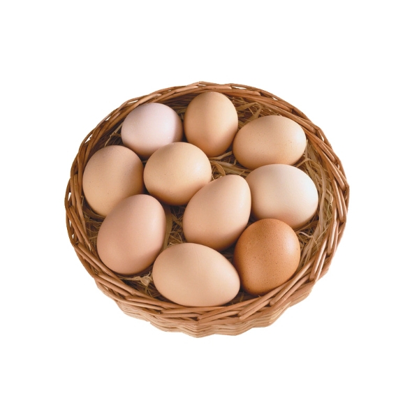 常年出售华北柴鸡蛋笨鸡蛋