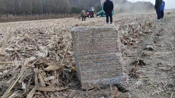 辽宁丹东凤城 大量出售玉米秸秆无土草捆