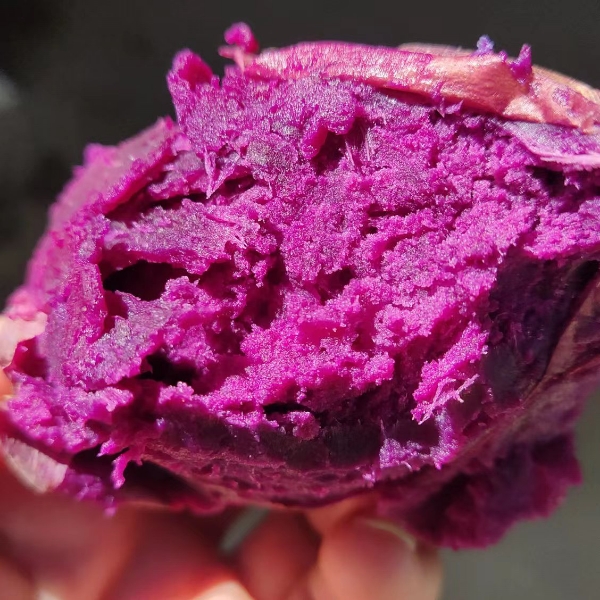 紫薯<span class=