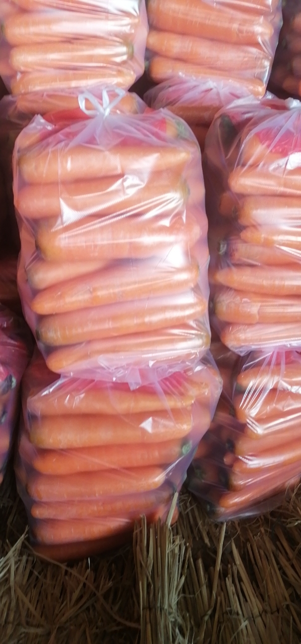 河南三红胡萝卜大量走货、精品水洗中条，20斤