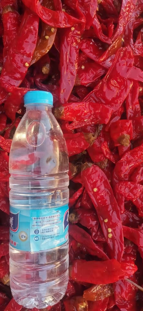 产地直销一首货源腌制辣椒，厂家直销常年有货