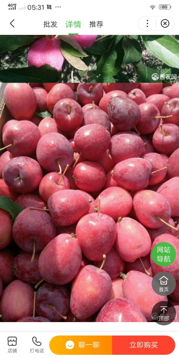 新疆伊犁水果供应:葡萄，西梅，鸡心果，恐龙蛋李子