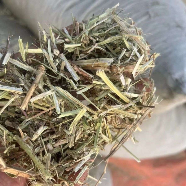 牛羊草饲料花生秧