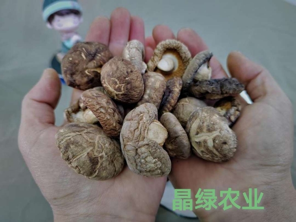 陕西汉中各类干菜、菌类、土特产长期供应