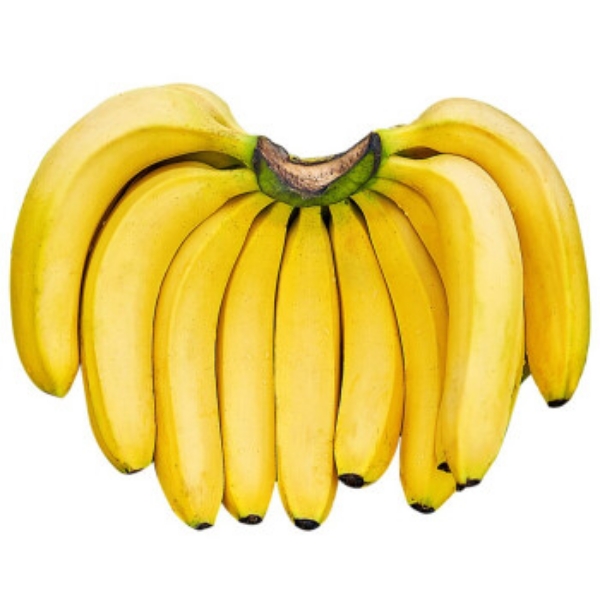 香蕉的主产区主要集中在南部地区，像广东、广、海南、