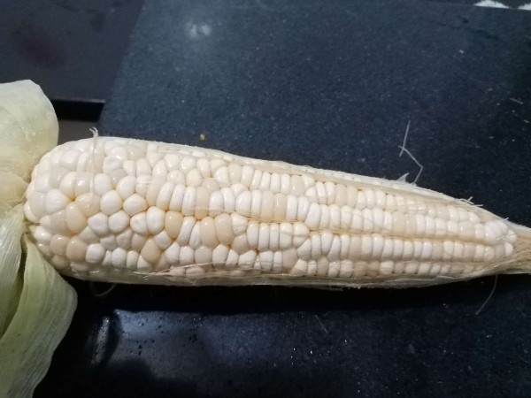 低温速冻鲜玉米