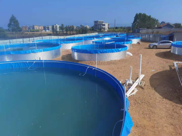 镀锌板帆布鱼池陆地现代化水产养殖高密度水产养殖池