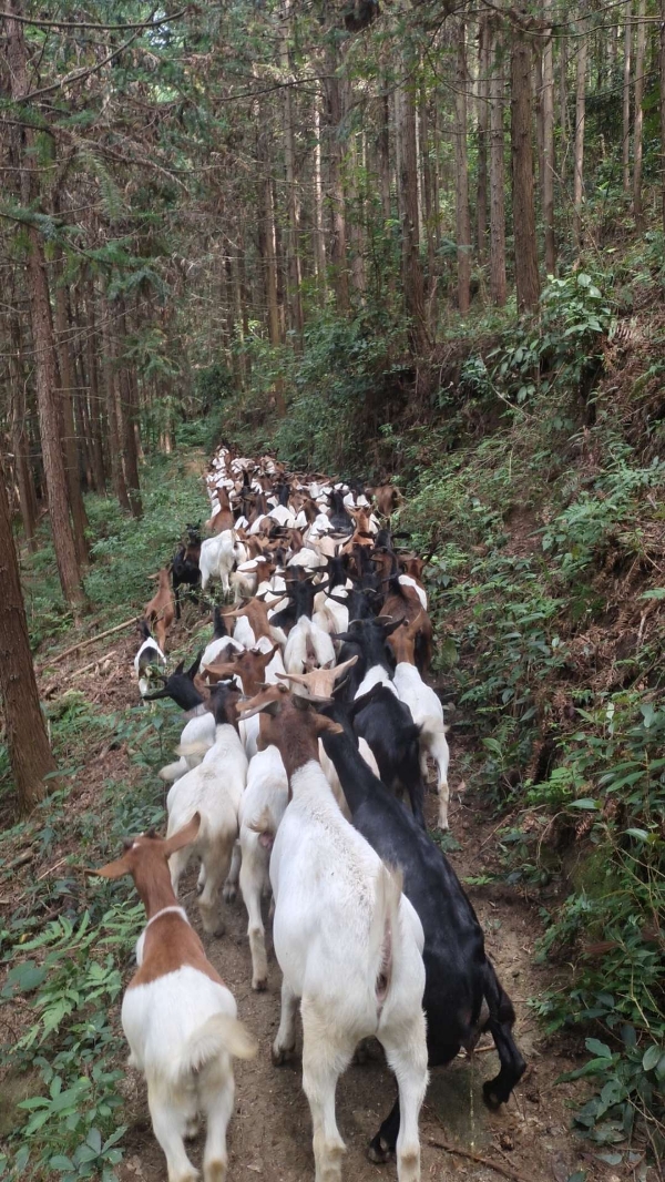 江西省赣州市大余县内良乡天华山