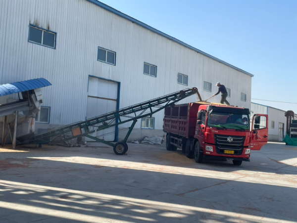 新疆烘干玉米大量供应，30吨起批