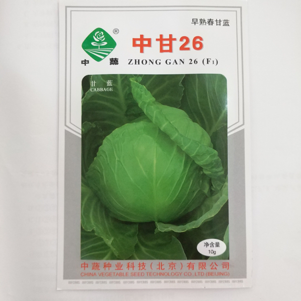 韩国绿球甘蓝种子批发量大价正品原装
