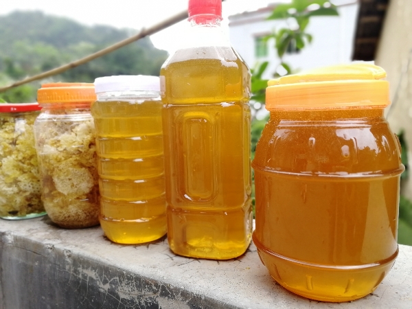 广东茂名电白蜂蜜农产品