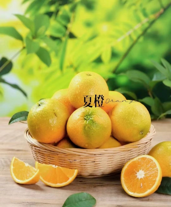 秭归脐橙产地常年供应脐橙，支持批发，团购和一件代发