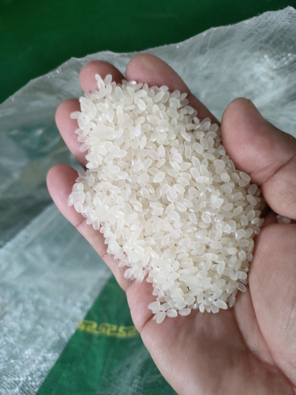 微山湖大米，粳米，珍珠大米，丰良尤大米，