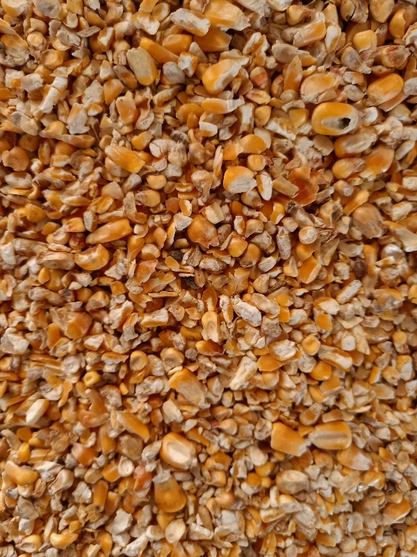 碎玉米，公司常年出售碎玉米，碎小麦，各种养殖下脚料