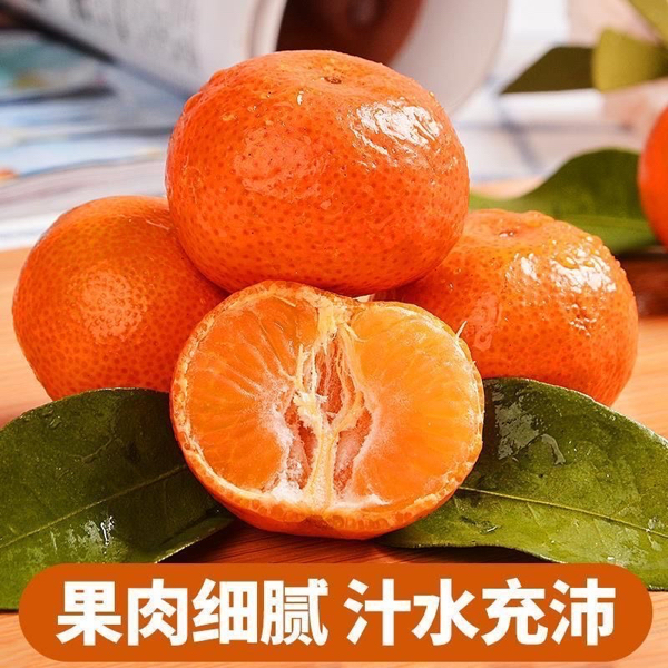 广西砂糖橘/沃柑/马水桔/支持一件代发