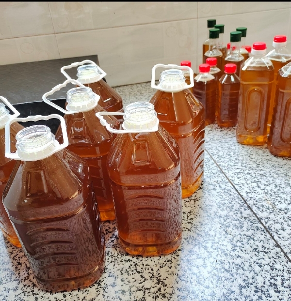 湖南永州野生本地山茶油.野生菜籽油
