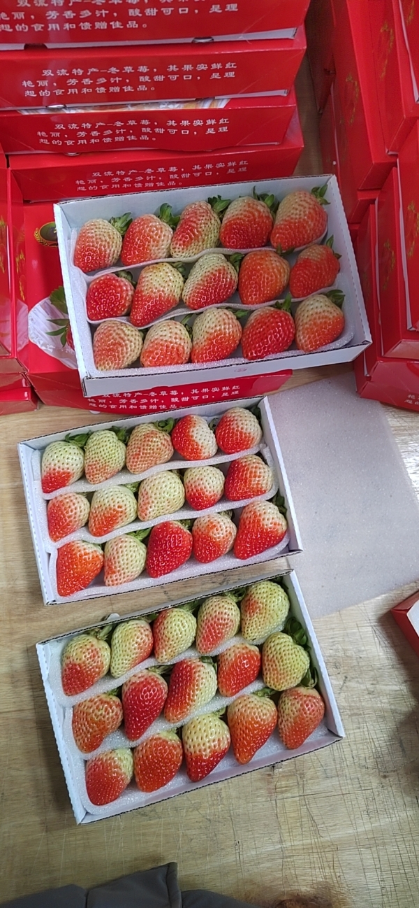 云南烘培草莓供应
