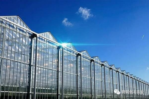 设施农业-高端温室大棚设计、建设、运营