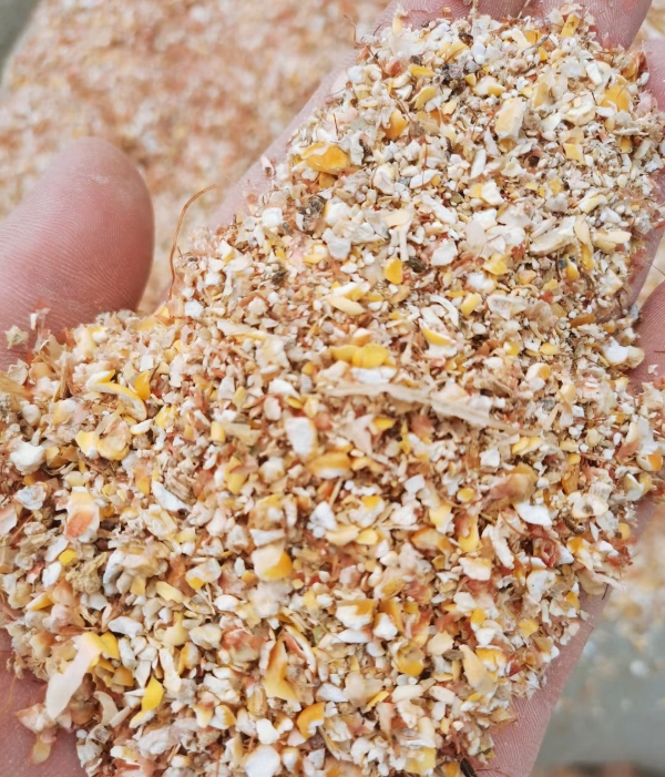 毛粮碎玉米，适合鸡鸭鹅养殖户使用，降低养殖成本