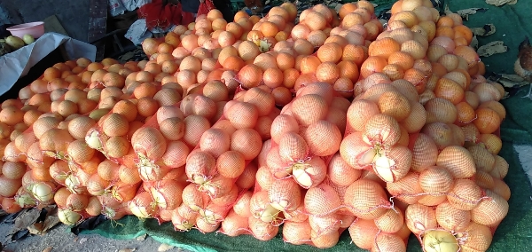 重庆市万州区三峡库区老树粉红蜜柚