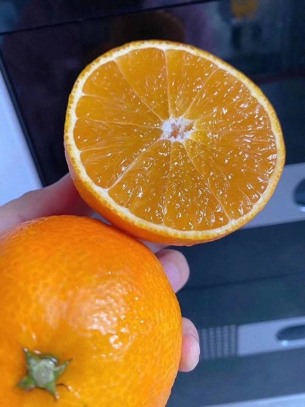 柑橘红美人爱媛28号新鲜水果整箱果冻橘橙