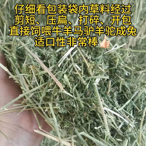 晒干苜蓿草捆 剪断压缩烘干苜蓿草压缩包