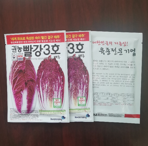 ​紫白菜种子▁韩国白菜种子杂交紫白菜种子