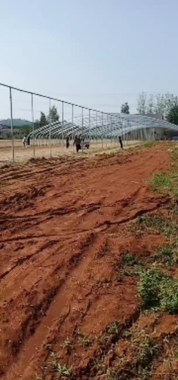 天津温室大棚材料生产厂家，一站式采购