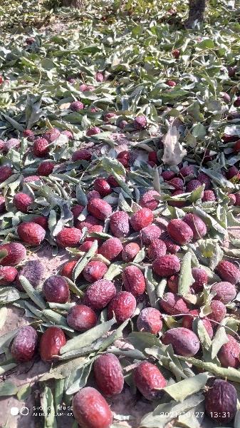 新疆红枣，一斤15