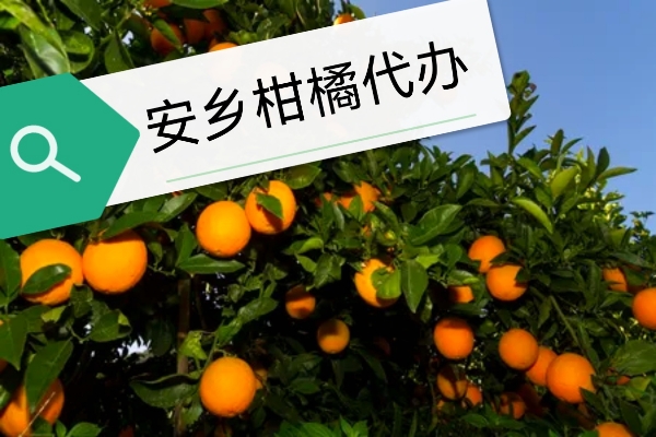柑橘、黄桃