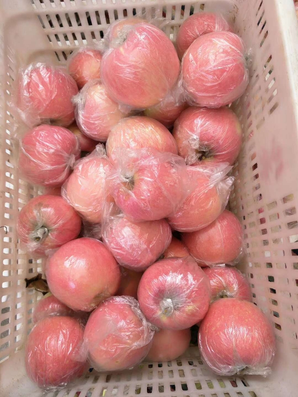 山东红富士苹果色泽鲜艳口感脆甜保质保量货源充足