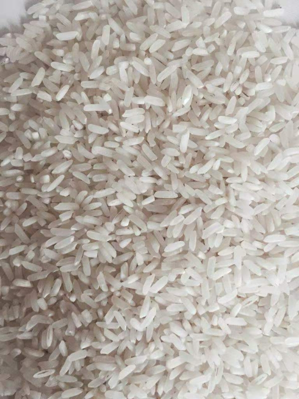 泰国、越南、缅甸等粳米、糙米、碎米大量供应