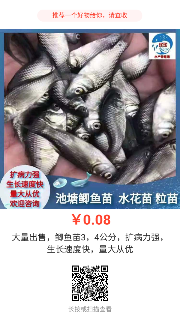 【鲫鱼苗】工程鲫鱼苗量大从优中科三号 五号